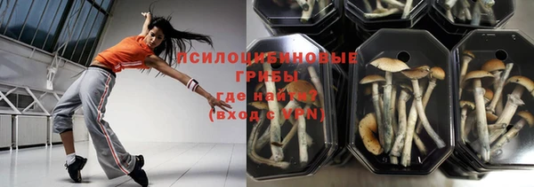 прущая мука Вязники