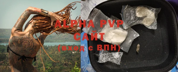 спайс Вяземский