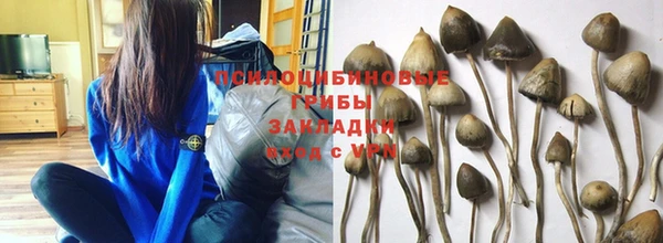 метамфетамин Гатчина