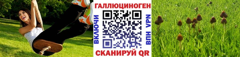 Галлюциногенные грибы прущие грибы  KRAKEN   Гусиноозёрск  где продают  